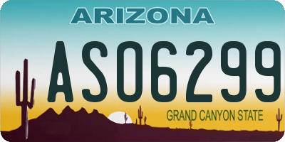AZ license plate ASO6299