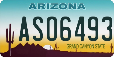 AZ license plate ASO6493