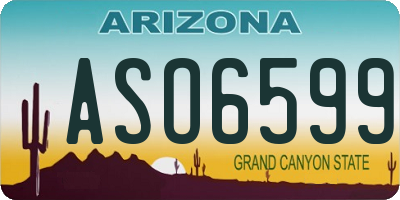 AZ license plate ASO6599