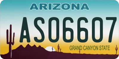 AZ license plate ASO6607