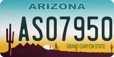 AZ license plate ASO7950