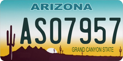 AZ license plate ASO7957