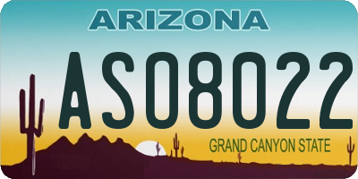 AZ license plate ASO8022