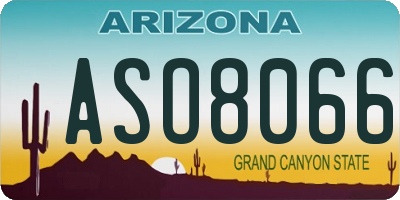 AZ license plate ASO8066