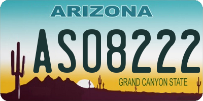 AZ license plate ASO8222