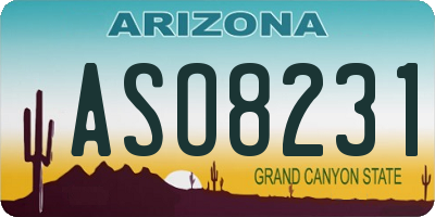 AZ license plate ASO8231