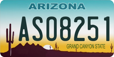 AZ license plate ASO8251