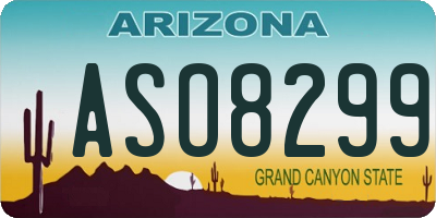 AZ license plate ASO8299
