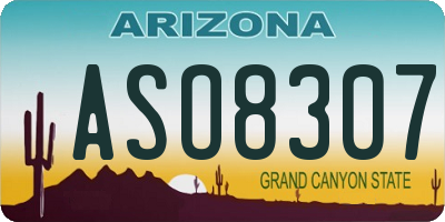 AZ license plate ASO8307