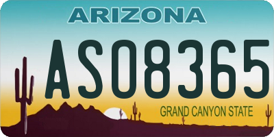 AZ license plate ASO8365