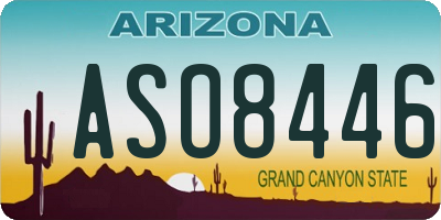AZ license plate ASO8446