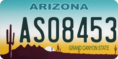 AZ license plate ASO8453