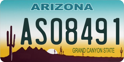 AZ license plate ASO8491