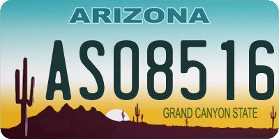 AZ license plate ASO8516