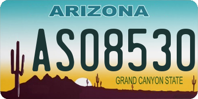 AZ license plate ASO8530