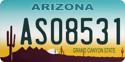 AZ license plate ASO8531