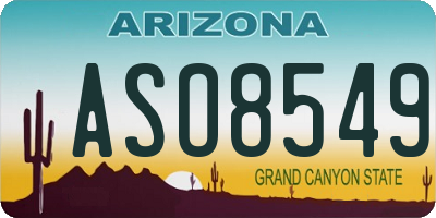 AZ license plate ASO8549