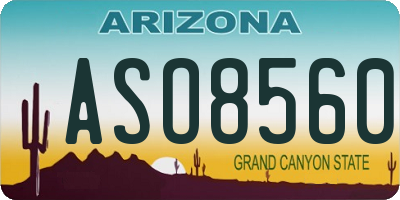 AZ license plate ASO8560