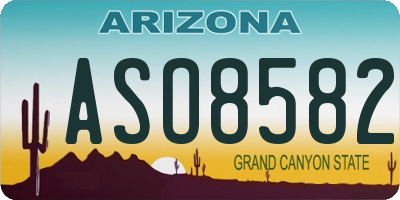 AZ license plate ASO8582