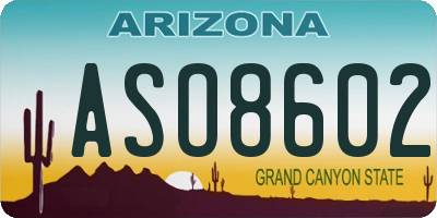 AZ license plate ASO8602