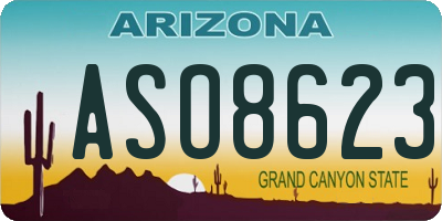 AZ license plate ASO8623