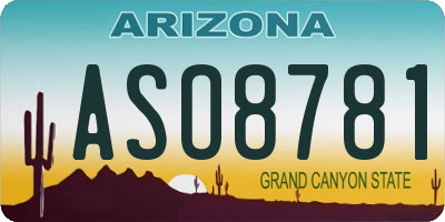 AZ license plate ASO8781