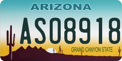 AZ license plate ASO8918