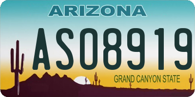 AZ license plate ASO8919