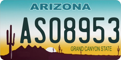 AZ license plate ASO8953