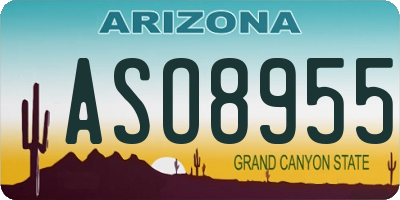AZ license plate ASO8955