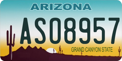 AZ license plate ASO8957