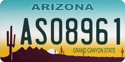 AZ license plate ASO8961