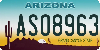 AZ license plate ASO8963