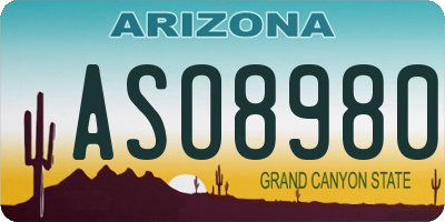 AZ license plate ASO8980