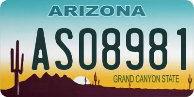 AZ license plate ASO8981