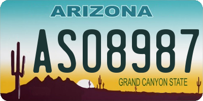 AZ license plate ASO8987