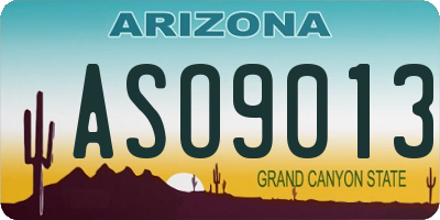AZ license plate ASO9013