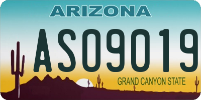 AZ license plate ASO9019