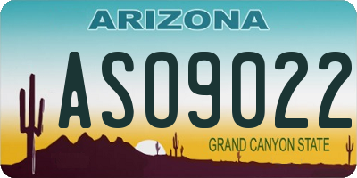 AZ license plate ASO9022