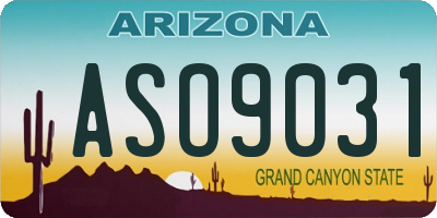 AZ license plate ASO9031