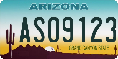 AZ license plate ASO9123