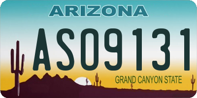 AZ license plate ASO9131