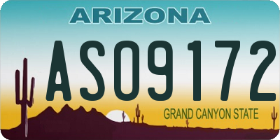 AZ license plate ASO9172