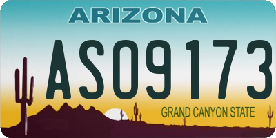 AZ license plate ASO9173