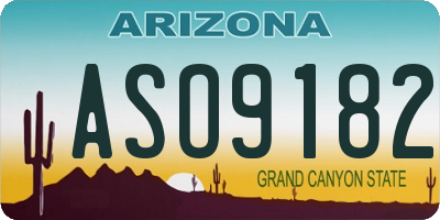 AZ license plate ASO9182