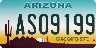 AZ license plate ASO9199