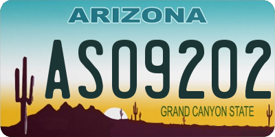 AZ license plate ASO9202
