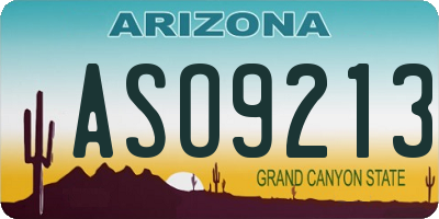 AZ license plate ASO9213