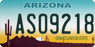 AZ license plate ASO9218