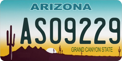 AZ license plate ASO9229
